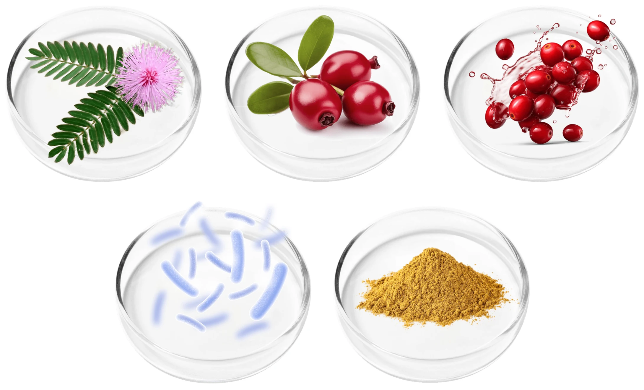 FemiPro ingredients